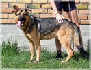 Pati – szuka aktywnej rodziny, która zechce z nią pracować - 6