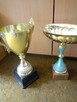 PUCHAR SPORTOWY 35 CM