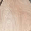 100% Birch Plywood for sale