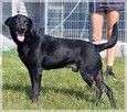Magik – chce być blisko, poznawać świat, nie zniknąć - 10