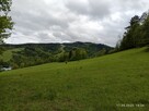 Działka w pobliżu Krynicy - 12
