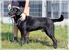 Magik – chce być blisko, poznawać świat, nie zniknąć - 4