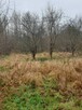 Działki budowlane 6,75 ha NAD MORZEM Ustka Słupsk Działka in - 13