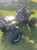Sprzedam Qada Bashan 250 - 4