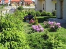 Pokoje gościnne nad morzem Magnolia w Jarosławcu - 6