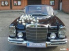Zabytkowy Mercedes-Benz retro do ślubu!!!!!!!!!