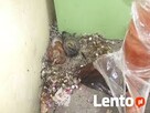 Sprzątanie balkonów tarasów po gołębiach Łódź - 2