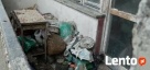 Sprzątanie balkonów tarasów po gołębiach Łódź - 3