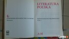 Literatura polska - przewodnik encyklopedyczny - 2