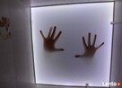 sufit napinany LED - 5