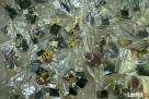 LEGO MINIFIGURES - 71001 - 10 SERIA - Wyprzedaż kolekcji - 2