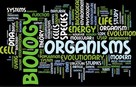 Biologia: korepetycje - 7