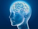 Biologia: korepetycje - 1