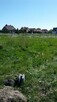 Dzialki budowlane w Gorzowie w dzielnicy Karnin ul. Letnia - 9