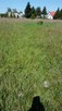 Dzialki budowlane w Gorzowie w dzielnicy Karnin ul. Letnia - 8
