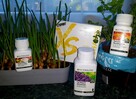 Magnez w najlepszej postaci - Magnesium Sticks - 3