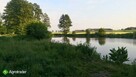 Sprzedam gospodarstwo rolne / siedlisko ze stawem - 4