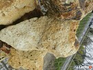 Lawa Wulkaniczna bryły, piękne kolory import.KUTNO, ZGIERZ - 2