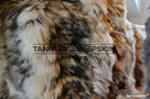 Sheepskin Rug Tannery Sheepskin, Poland Sheepskin Decorativ - 2