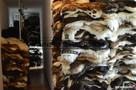 Sheepskin Rug Tannery Sheepskin, Poland Sheepskin Decorativ - 4