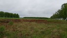 DZIAŁKI BUDOWLANE w Bięcinie - Gmina Damnica - 3