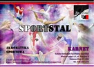 SportStal Szkoła Akrobatyki Sportowej - 3