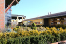Hotel Restauracja-Centrum Konferencyjno-Weselne w Ostrowi Ma - 2