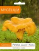 Grzybnia Kurka Pieprznik Jadalny 10 g MYCELIUM - 2