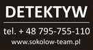 DETEKTYW - 2