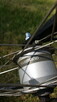 Rower KTM Avento Plus - 5