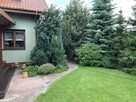 Sprzedam dom w Przasnyszu - 3