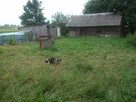 Działka budowlano-rolna na Podlasiu - 2