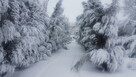 Najpiękniejsza działka w Łodzi plus dom Inwestycja - 2