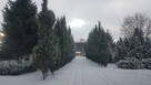 Najpiękniejsza działka w Łodzi plus dom Inwestycja - 5