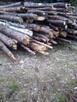 drewno opałowe rozpałkowe - 2