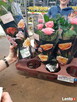 Praca za granicą - BONUS 150 € - Holandia od zaraz!