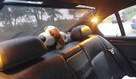 BMW e46 330d m-Pakiet - 11