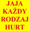 Jaja kurze jajka. Każdy rodzaj. Każda ilość. - 1