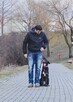 Szkolenie psów Konin i okolice - 2