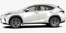 Lexus NX Business Edition / Różne kolory / 4x4 / LED / NAVI - 10