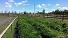 Agroturystyka Ranczo Dobropole - 11