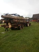 Wywóz drewna, pracę leśne, transport drewna - 4