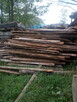 Wywóz drewna, pracę leśne, transport drewna - 6