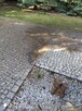 Czyszczenie kostki, elewacji, dachów, paneli fotowoltaicznyc - 6