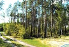 Sprzedam las - działki leśne Przasnysz > Chorzele > Przysowy - 3