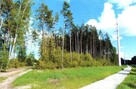 Sprzedam las - działki leśne Przasnysz > Chorzele > Przysowy - 7