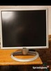 Monitor DELL 19 CALI - 2