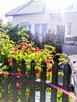 Villa Rumia ul. Grabowa 10 pokoje na dużej - 1