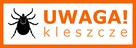 Koszenie trawy, karczowanie, sprzątanie działek, Wyburzenia, - 3