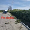 Usługi ogrodnicze oraz rozbiórkowe - 2